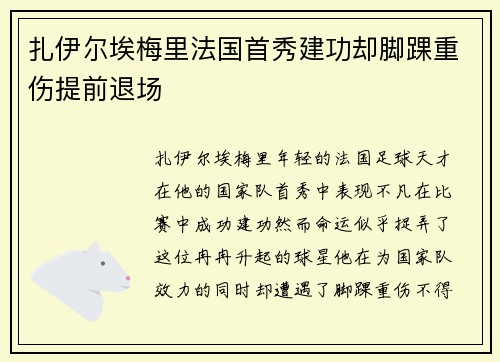 扎伊尔埃梅里法国首秀建功却脚踝重伤提前退场